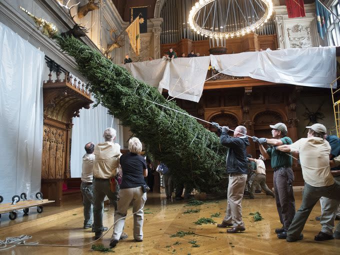 1) The annual tree raising ceremony.