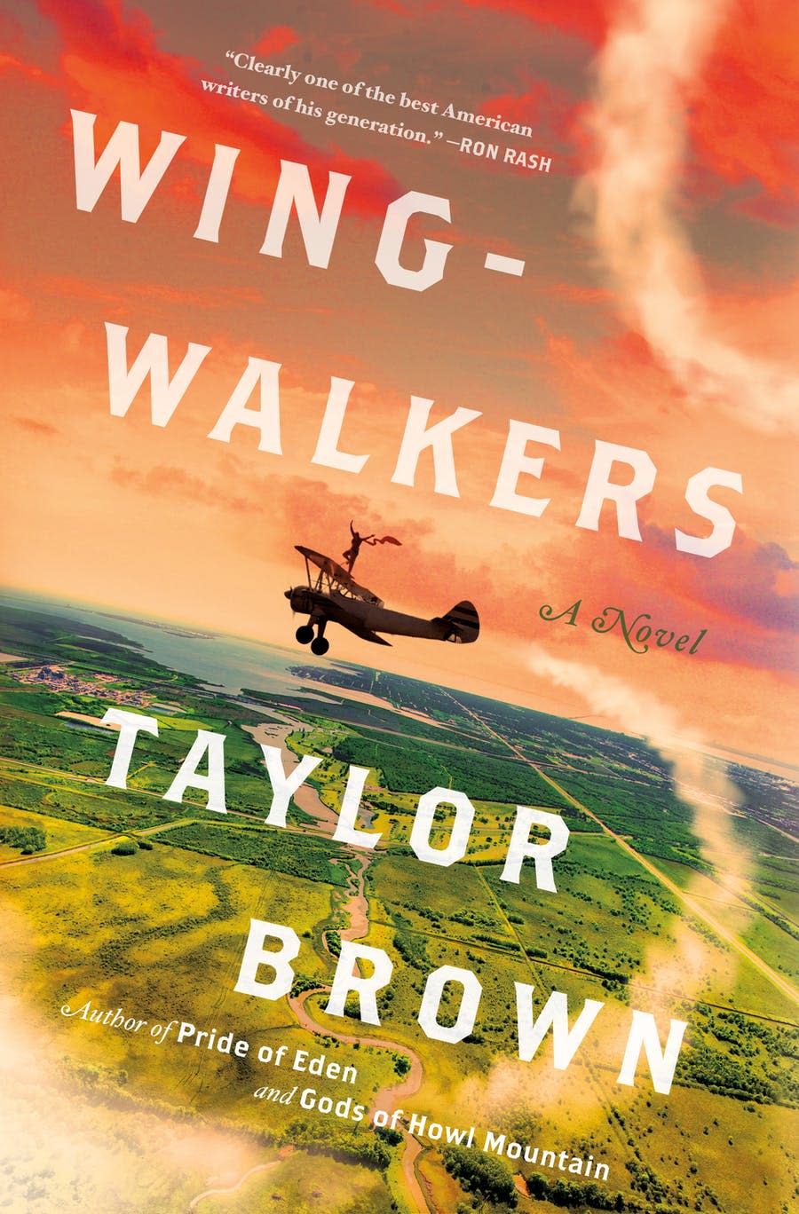 'Wingwalkers' by Taylor Brown is available at Savannah booksellers.