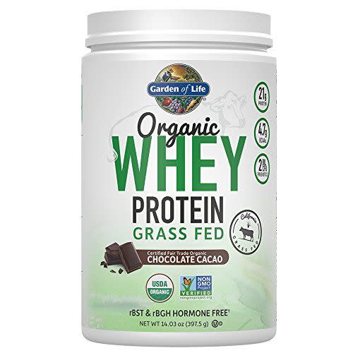 Garden of Life Protein Powder