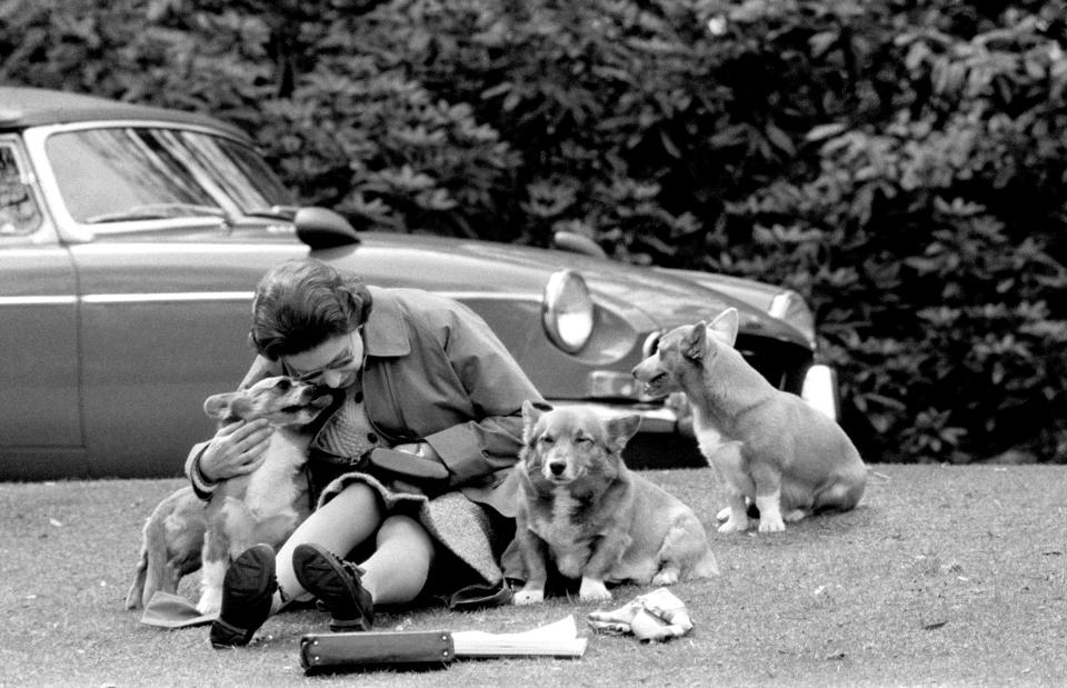 The Queen, sitting on a grassy bank with the corgis, at Virginia Water to watch competitors, including Prince Philip in the Marathon of the European Driving Championship, part of the Royal Windsor Horse Show.   (Photo by PA Images via Getty Images)