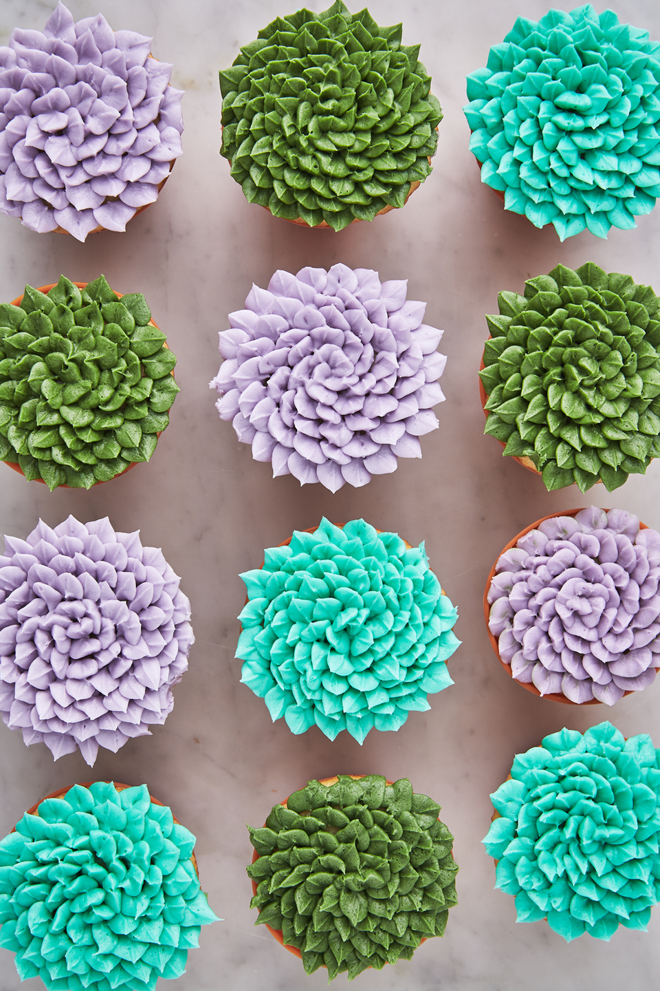 Succulent Cupcakes