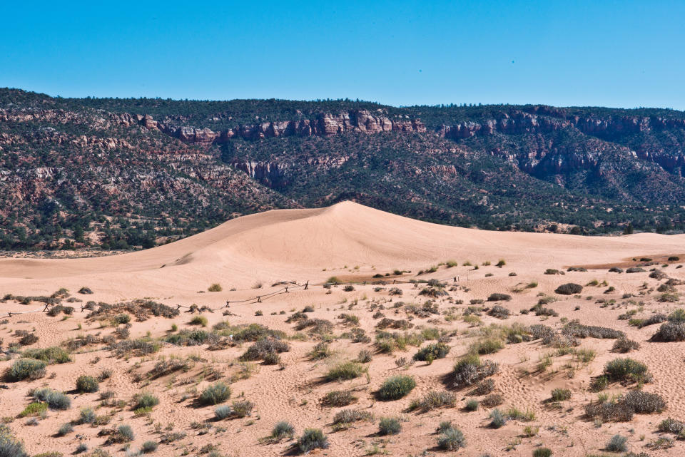 Coral Pink Sand Dunes State Park, where officials said a 13-year-old boy died on Saturday after getting trapped in a sand dune. (Getty Images)