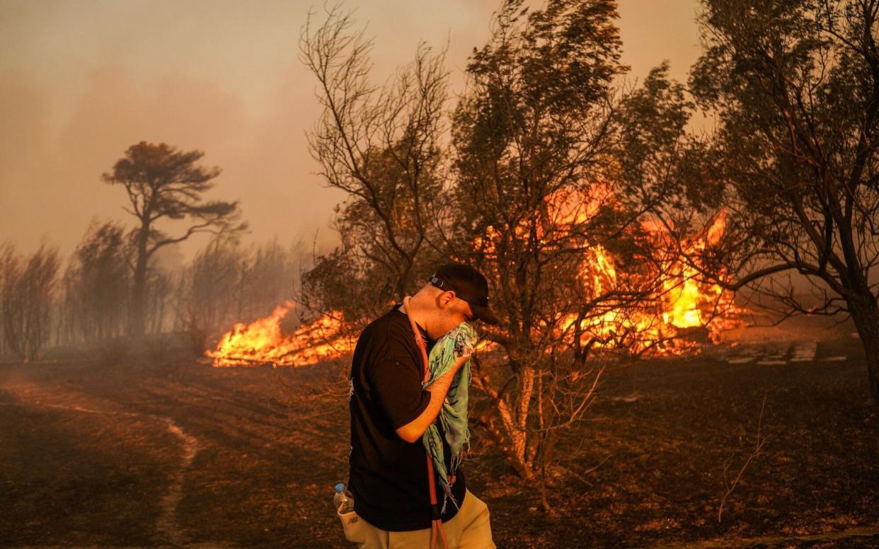 A volunteer searches for wounded animals during the East Attica wildfire