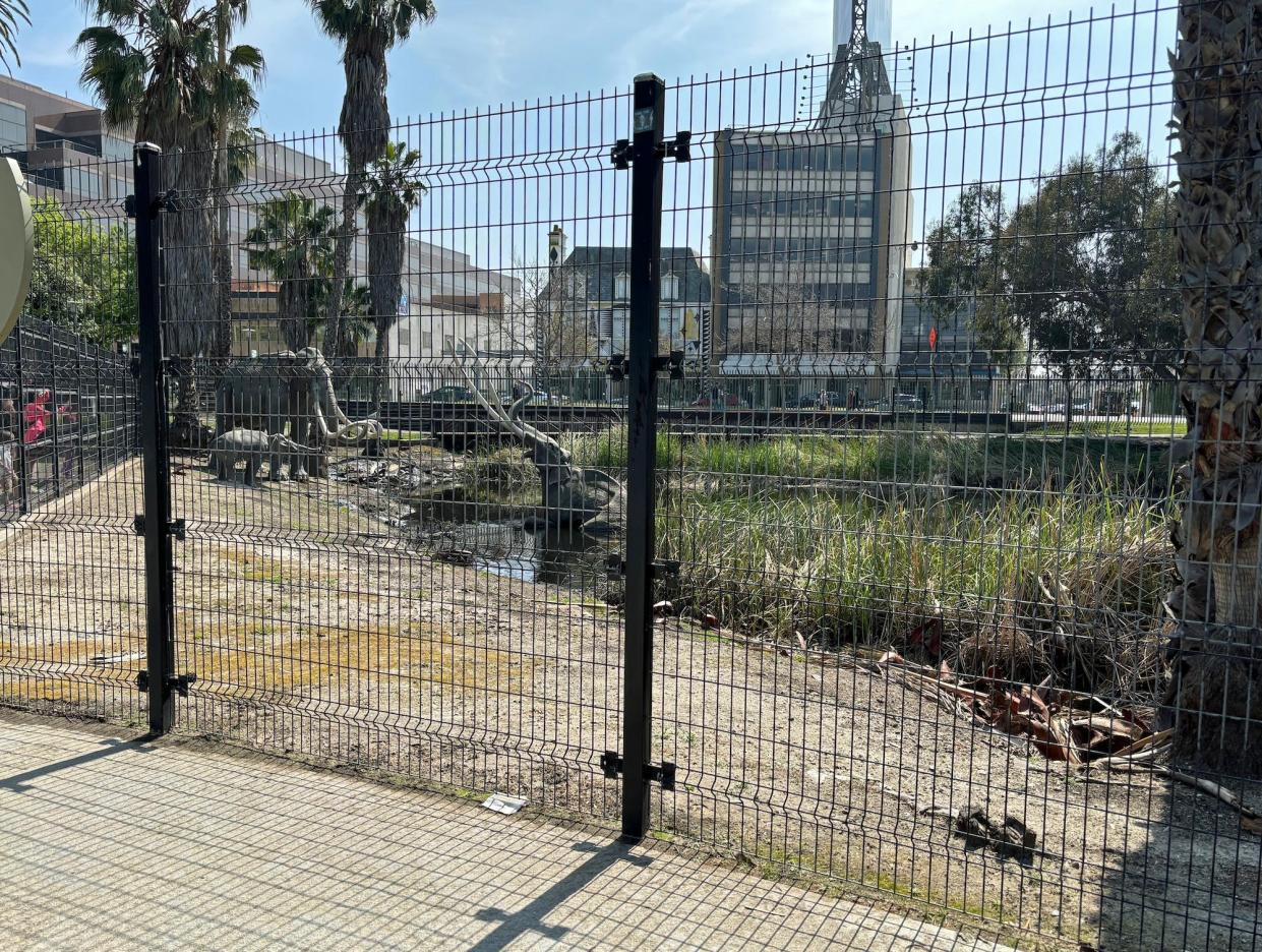 Replicas of mammoths in an asphalt lake at the La Brea tar pits behind a fence