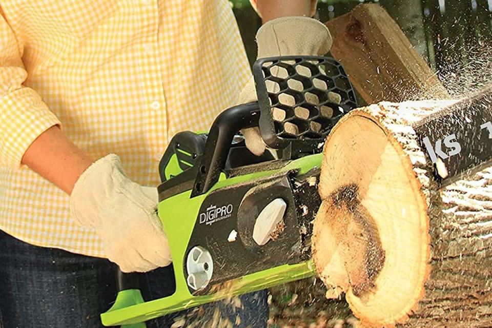 The Best Chainsaw Brands Option: Greenworks