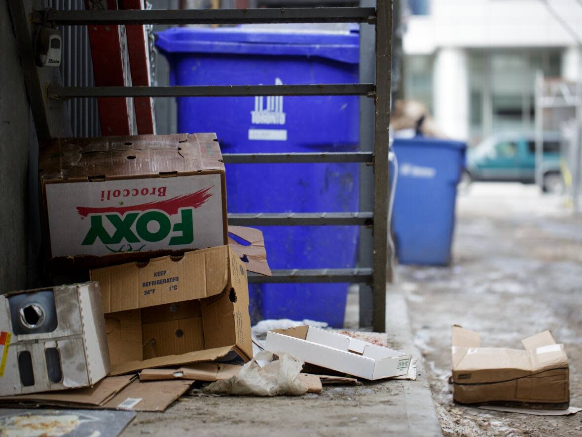 Mayor John Tory says he's 'not satisfied with the current situation' concerning the litter bins on Toronto streets. (Katherine Holland/CBC - image credit)