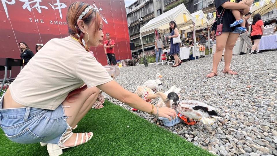 「鄉林中山賦」基地，趁端午佳節前的連續兩個周末假日，找來萌度破表的柯爾鴨工地秀。圖／業者提供