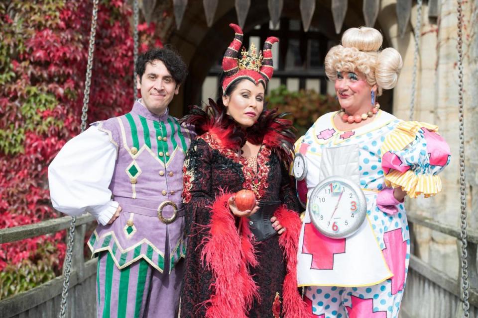 Celebrities in Panto 2017