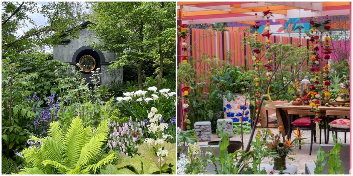 What happens to the Chelsea Flower Show gardens once the show is over?