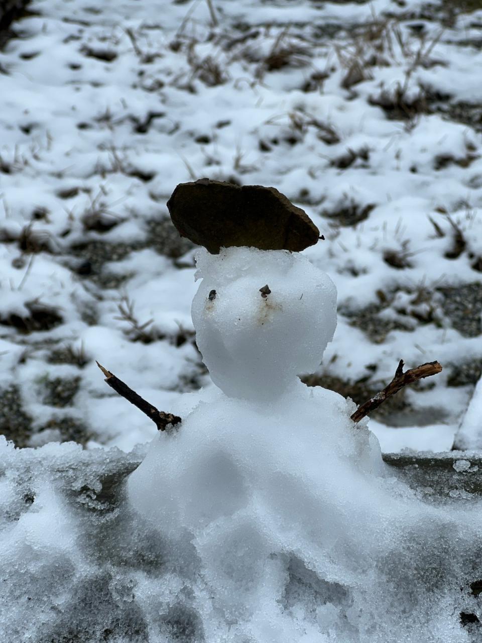 新北市三峽地區23日飄下瑞雪，銀白世界絕美。三峽警分局提供