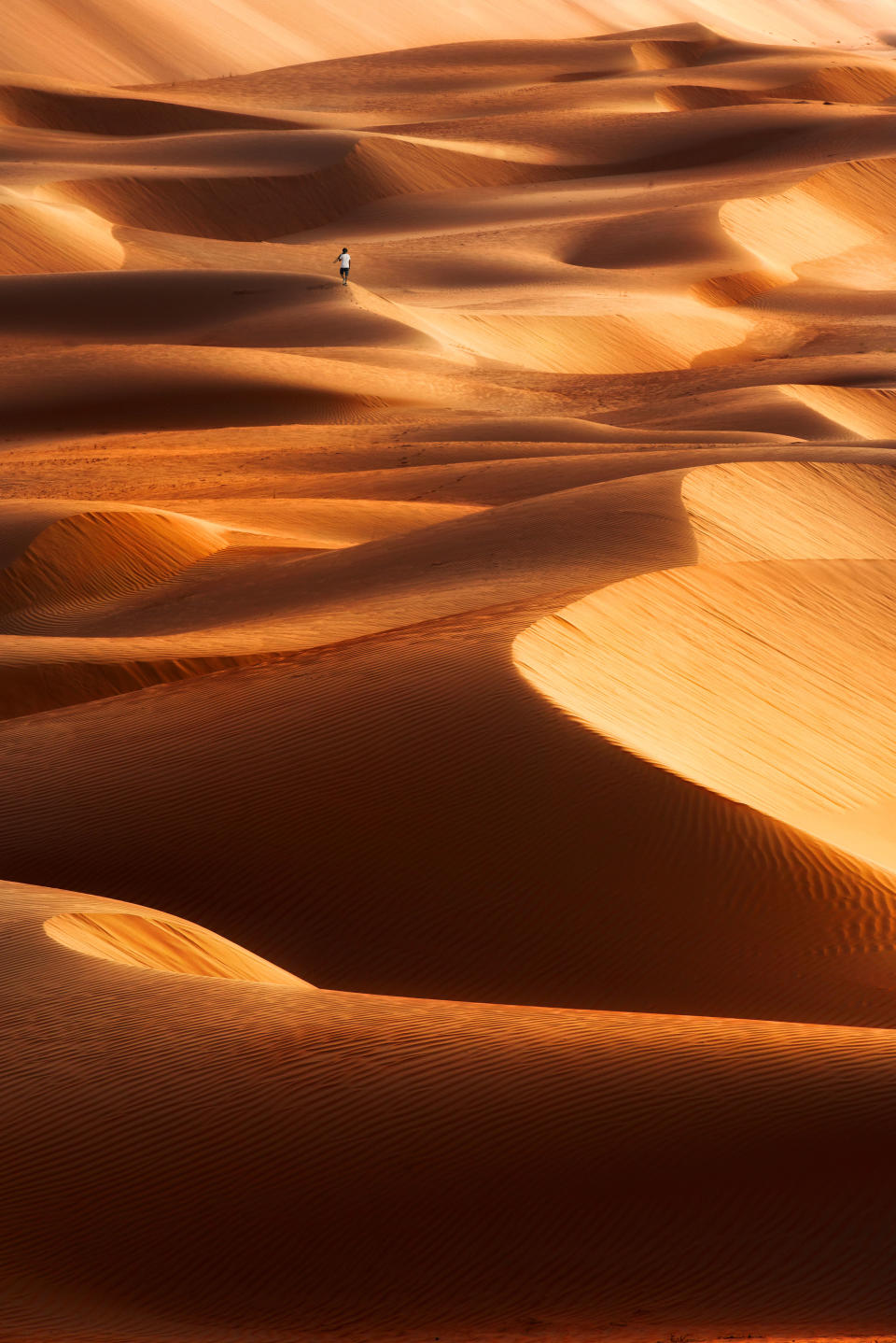 <p>The ripples in the sand’s surface and the peaks and troughs of the dunes make the deserts in Dubai look like a stormy ocean. (Photo: Anushka Eranga/Caters News) </p>