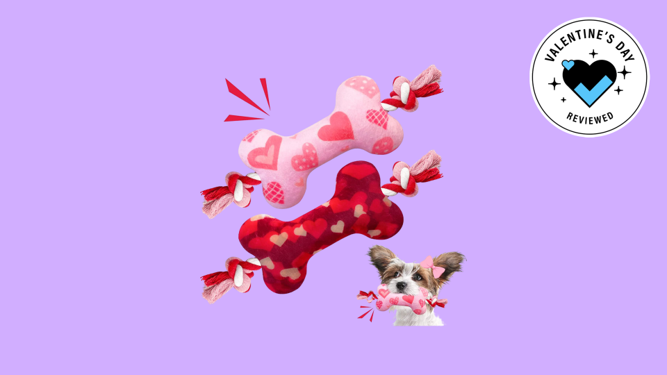Best gifts to give your pet for Valentine's Day: Squeaky toy