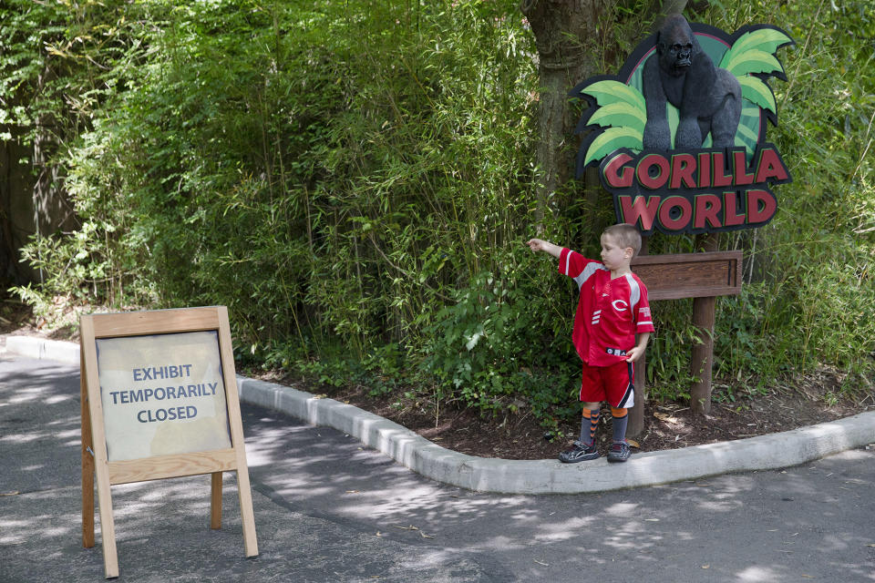 <p>Lucas Salcedo, 5, points toward the shuttered Gorilla World exhibit as he asks his father if they could enter at the Cincinnati Zoo & Botanical Garden, Sunday, May 29, 2016. <em>(AP Photo/John Minchillo)</em> </p>