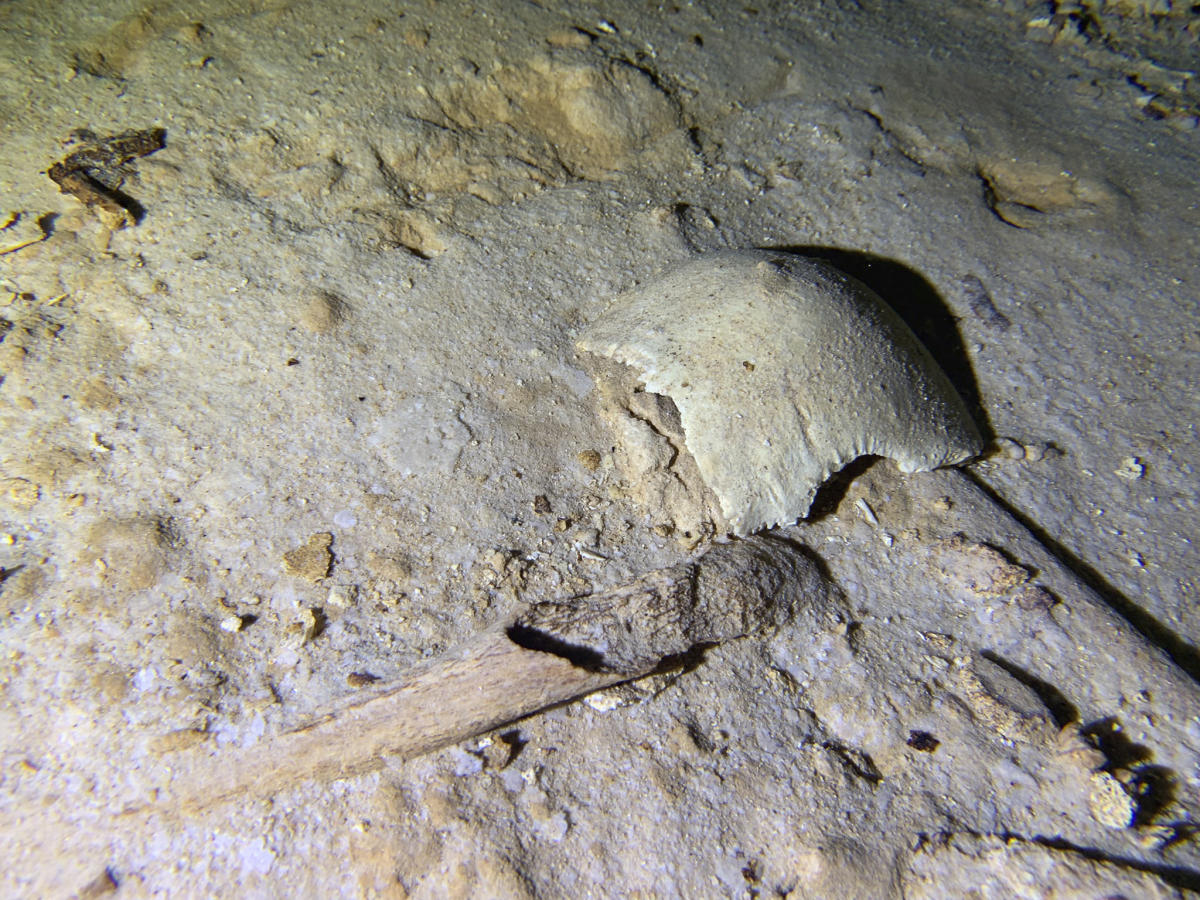 Historic skeleton identified in Mexico cave threatened by train