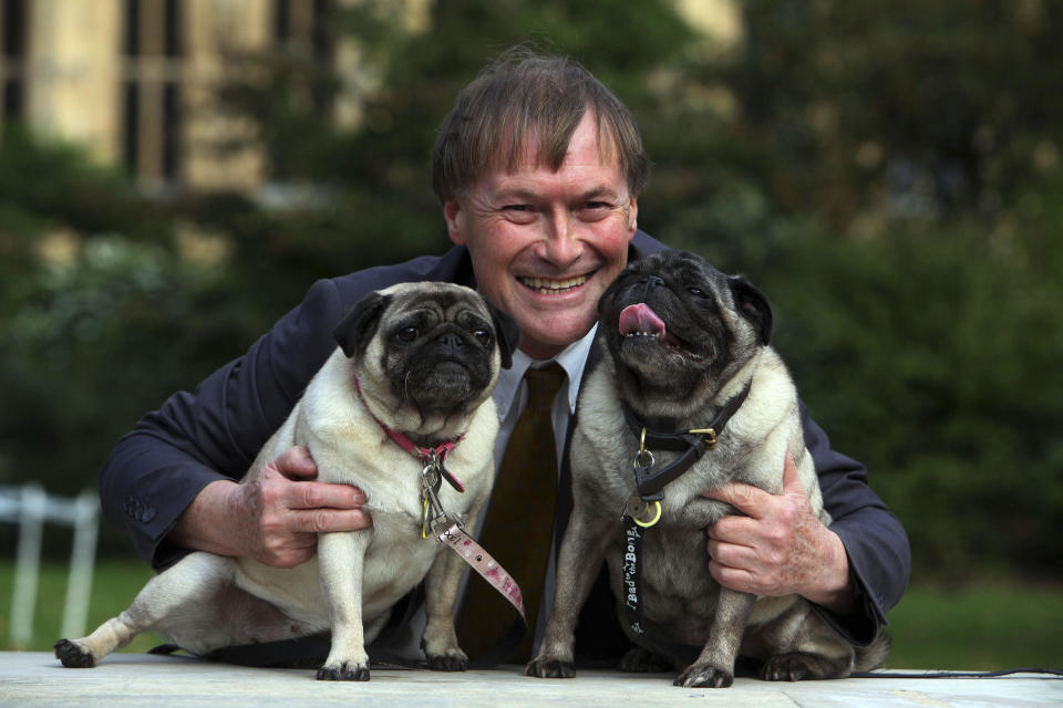 Conservative MP David Amess with his pugs, Lily and Boat at the Westminster Dog of the Year competition at Victoria Tower Gardens in London on Oct. 10, 2013. British police say a man has been arrested after a reported stabbing in eastern England. News outlets say the victim is Conservative lawmaker David Amess. The Essex Police force said officers were called to reports of a stabbing in Leigh-on-Sea just after noon Friday. It said “a man was arrested shortly after & we’re not looking for anyone else.” (Geoff Caddick/PA via AP)