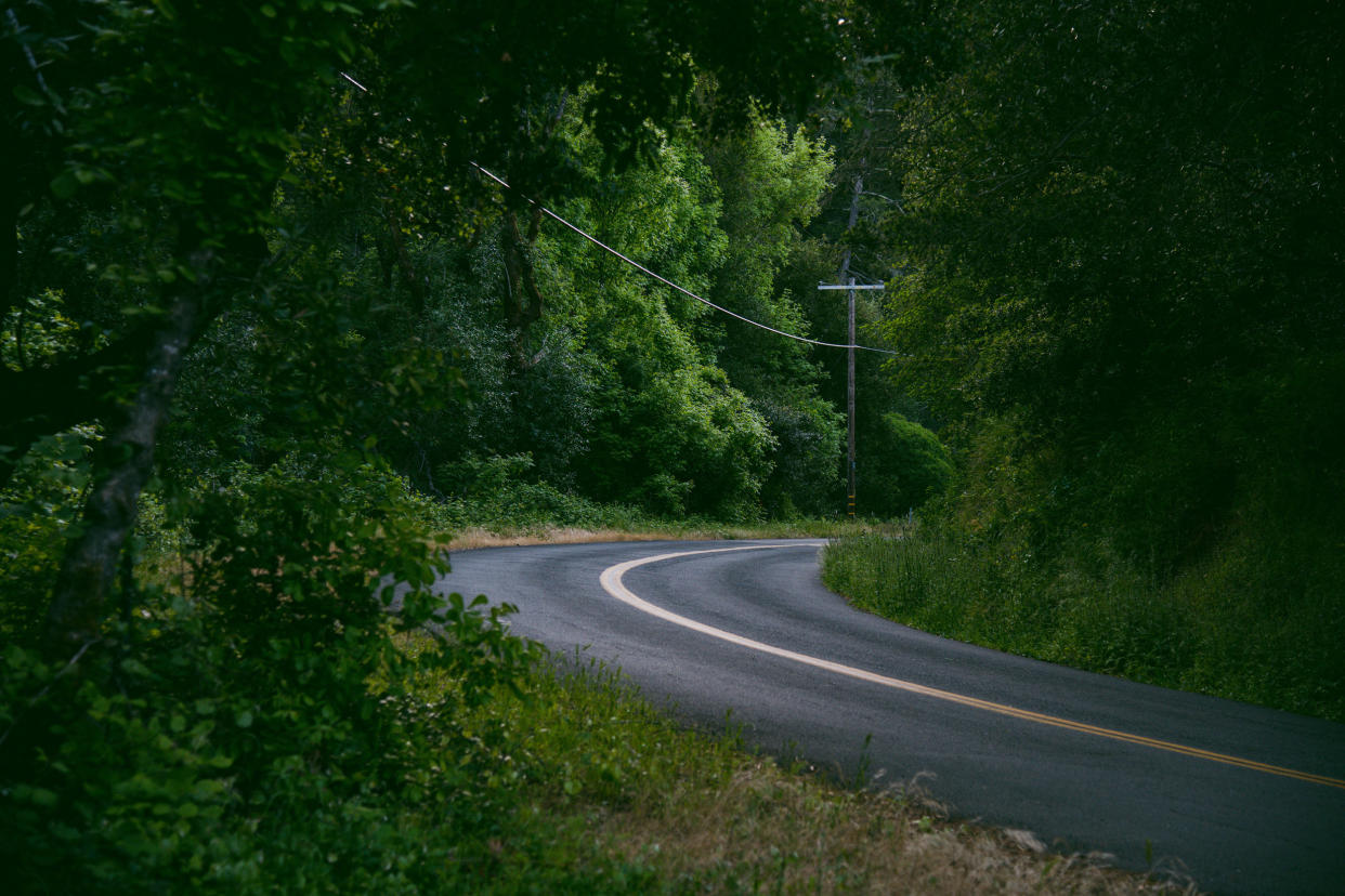 The 209-acres of land Yolanda Owens' ancestor owned in the hills of Napa, Calif., can be accessed only by a winding two-lane road. (Marissa Leshnov for NBC News)