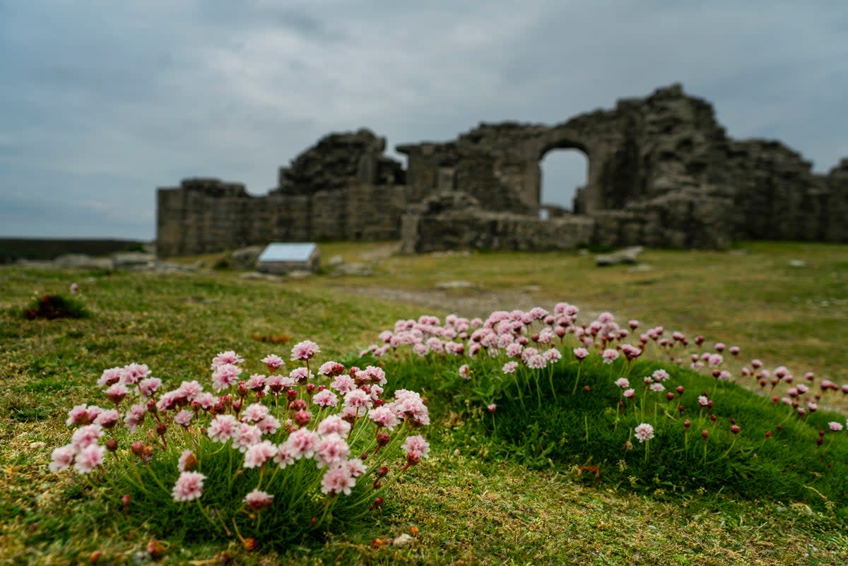 Flowers in bloom in front of King Charles’ Castle (Getty Images/iStockphoto)