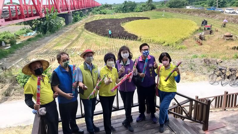 彰化溪州鄉農村生活體驗　虹橋雙心割稻趣