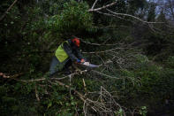 <p>A worker clears fallen trees off a road with a chainsaw during Storm Ophelia in the County Clare area of the Burren, Ireland, Oct.16, 2017. (Photo: Clodagh Kilcoyne/Reuters) </p>