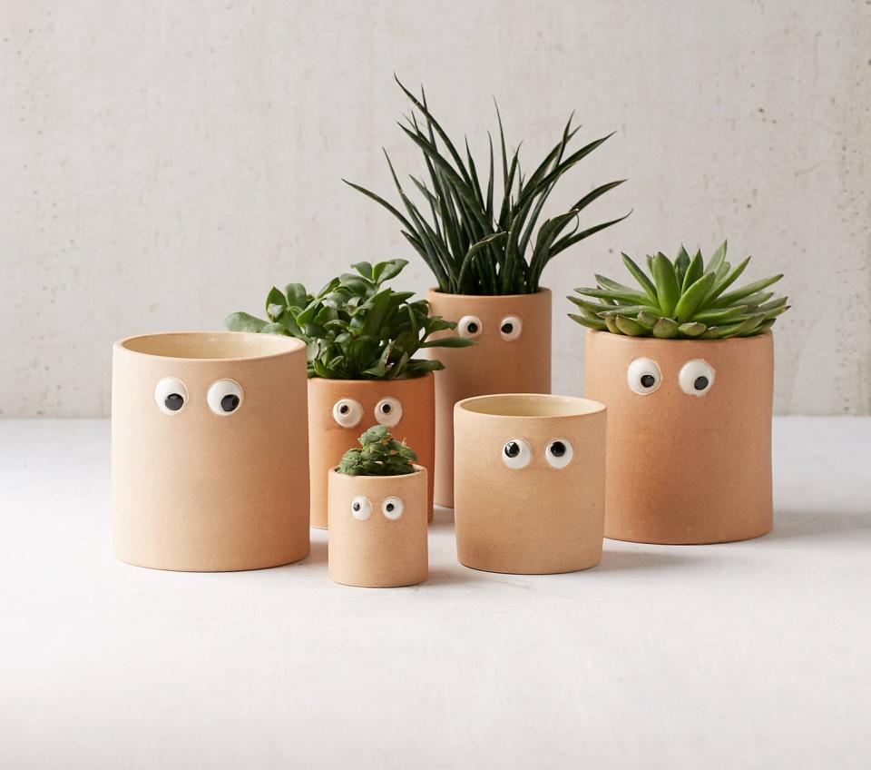 Henry Googly Eye Planter (Urban Outfitters)