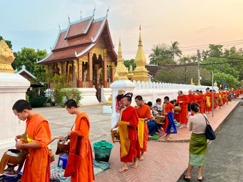Monks and novices in their orange robes parade through the streets of Luang Prabang in the early morning, receiving food such as sticky rice and fruit from the locals. Carola Frentzen/dpa