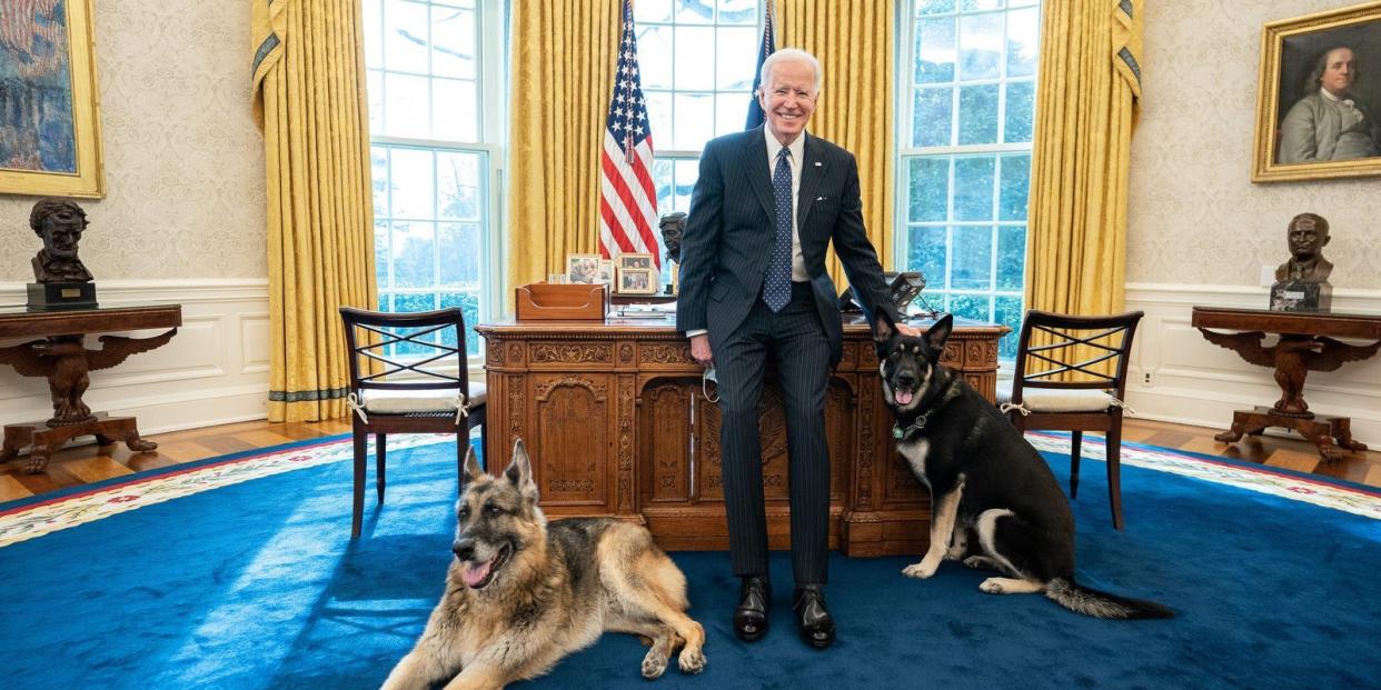 Joe Biden in Oval Office with Champ and Major