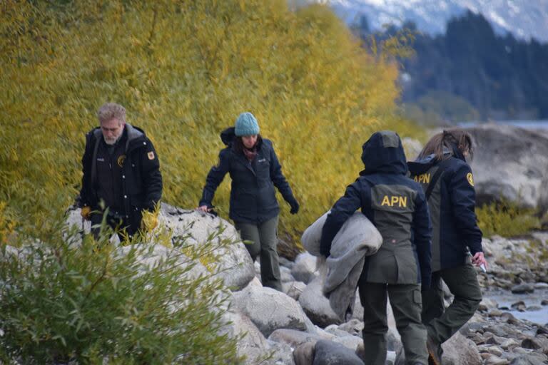 Tras ser alertados, un equipo conformado por guardaparques de la Zona Centro y de la Dirección Regional Patagonia Norte se presentaron en el lugar