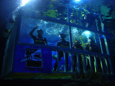 Aquaria: Have a diver hold a “Marry Me” sign from inside the tank among the dazzling fish or dive in and do it yourself while you both take a dive with sharks.