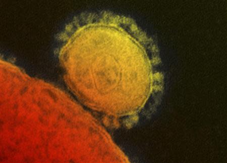 The Middle East respiratory syndrome (MERS) coronavirus is seen in an undated transmission electron micrograph from the National Institute for Allergy and Infectious Diseases (NIAID). REUTERS/National Institute for Allergy and Infectious Diseases/Handout via Reuters