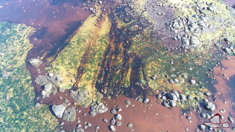 Oil spill after the bulk carrier ship MV Wakashio ran aground on a reef, at Riviere des Creoles, Mauritius