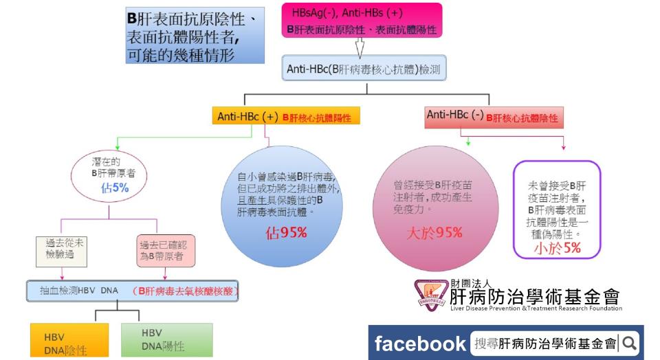 你知道自己「沒有B肝」是因為打過疫苗有抗體，還是感染過B肝病毒有了保護性抗體？