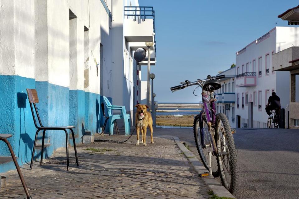 ‘It’s the being here that matters’: the cobbled streets of Fuseta.