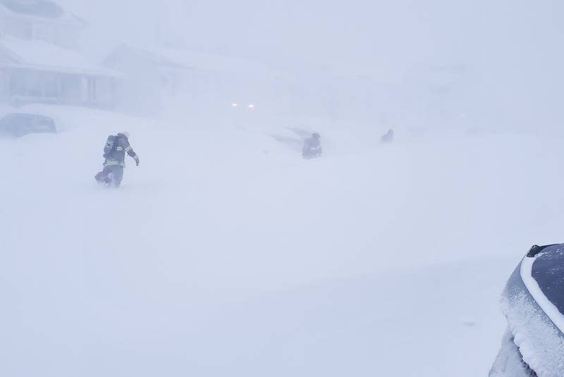 Newfoundland snow