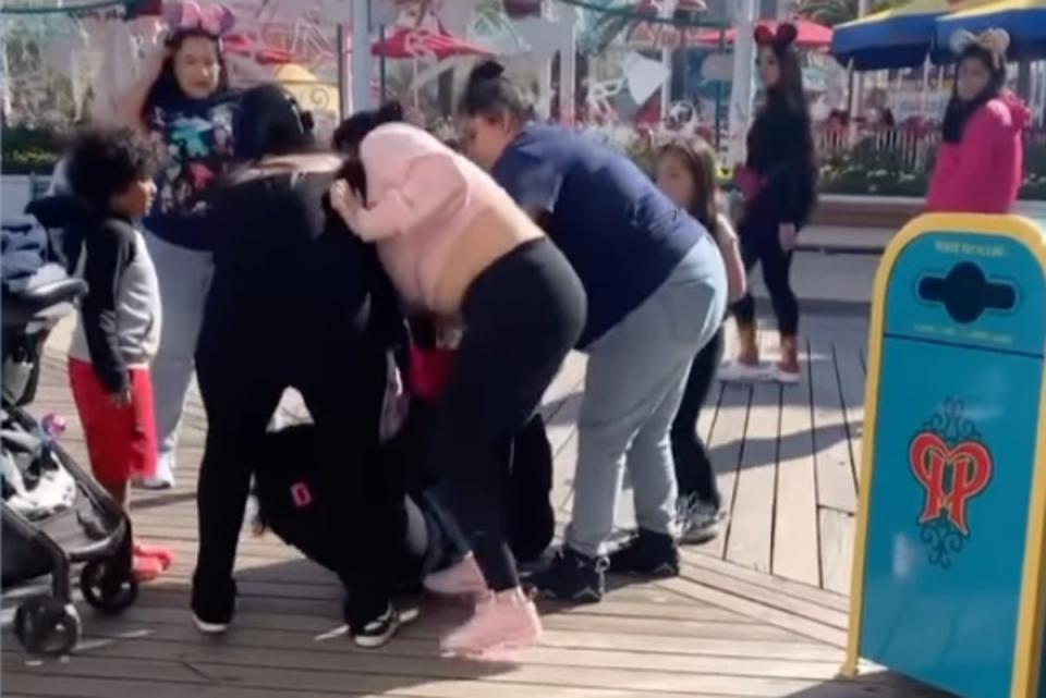 Young children look on as the savage incident unfolds close to the Pixar Pier attraction (@7.14layla_/ Instagram)