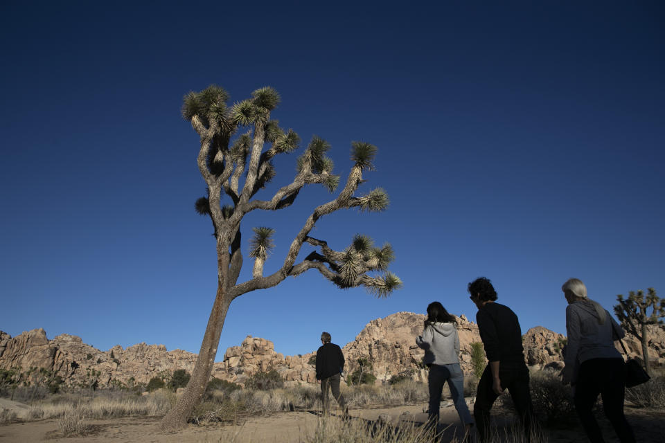 FILE - In this Jan. 10, 2019 file photo people visit Joshua Tree National Park in Southern California's Mojave Desert. Joshua Tree National Park is gearing up for the huge crowds drawn to the Southern California desert during the holidays. The National Park Service says the period from late December through Jan. 1 brings some of the busiest days, and campgrounds and parking lots will likely be full. At times, the park becomes drive-through-only because there are no more parking spaces. (AP Photo/Jae C. Hong,File)