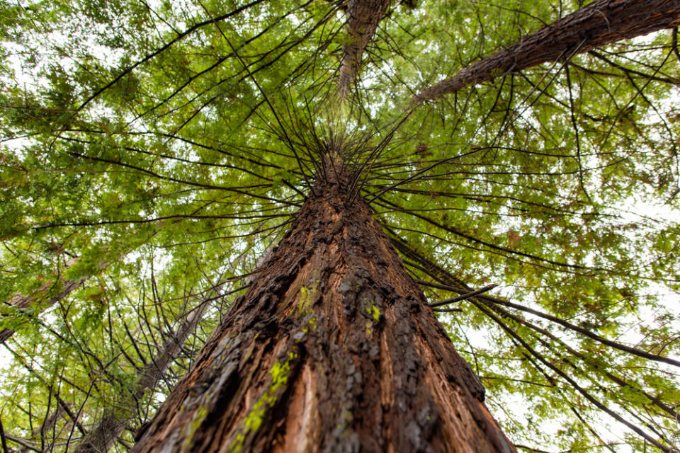 20 Most Visited US National Parks