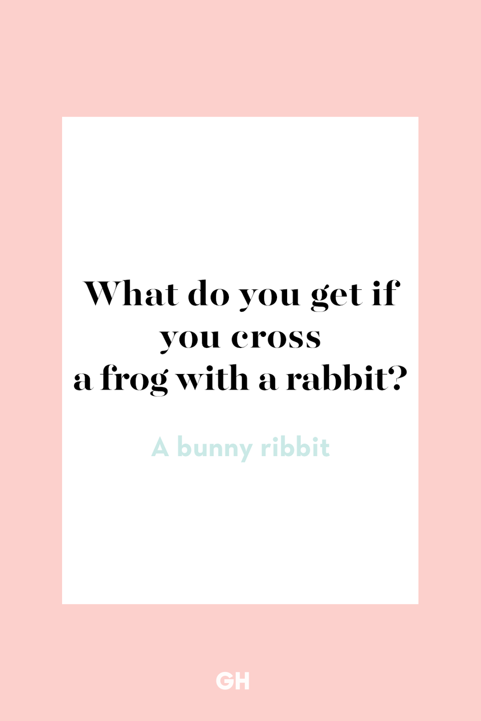 8) What do you get if you cross a frog with a rabbit?