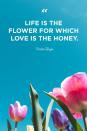 <p>"Life is the flower for which love is the honey."</p>