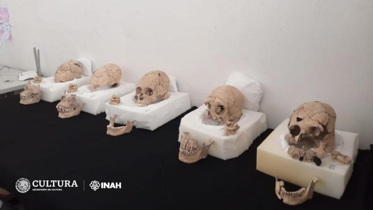  Remains of five of the 13 individuals found at Structure 18 at the Moral-Reforma Archaeological Zone. 