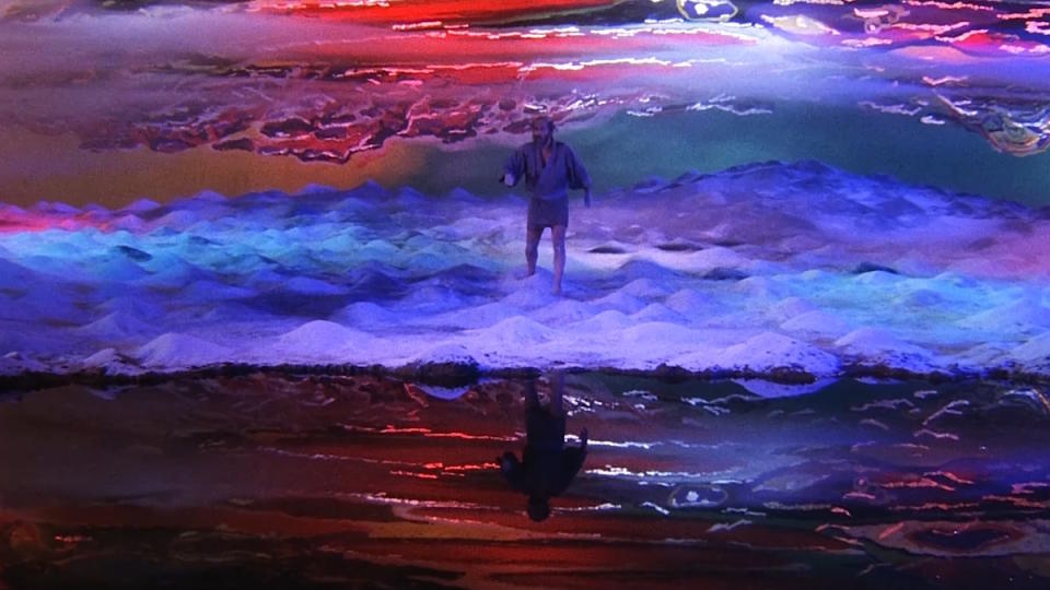 Kagemusha (1980)