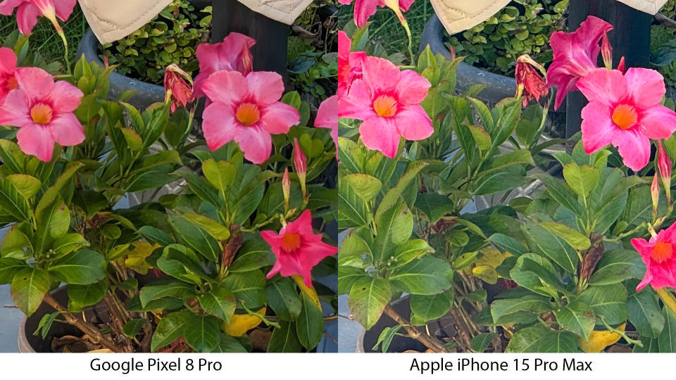 Pixel 8 Pro vs iPhone 15 Pro Max 5Xx zoom test - cropped images