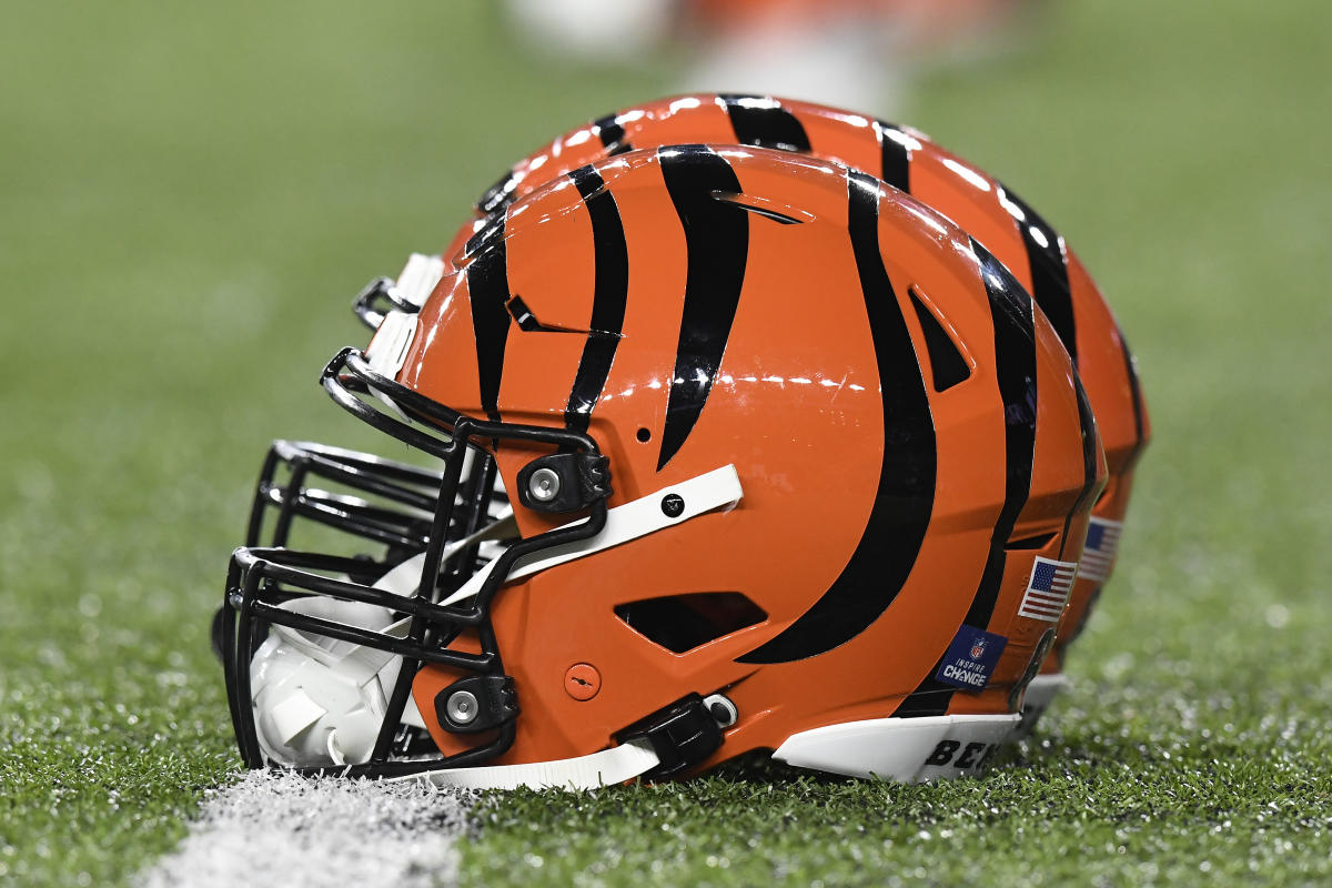 Cincinnati Bengals vs Baltimore Ravens  NFL Week 18 Game Day Report 