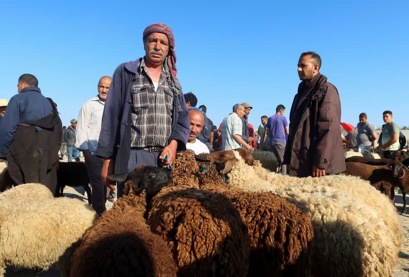 A Tunisian sheep breeder waits for customers at a livestock market in Borj El Amri