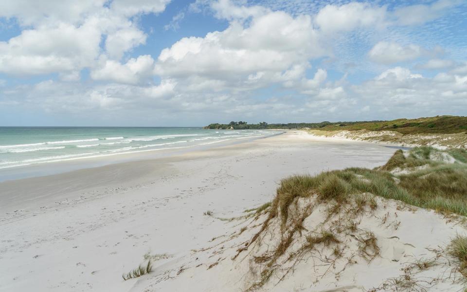 Rarawa Beach, Far North