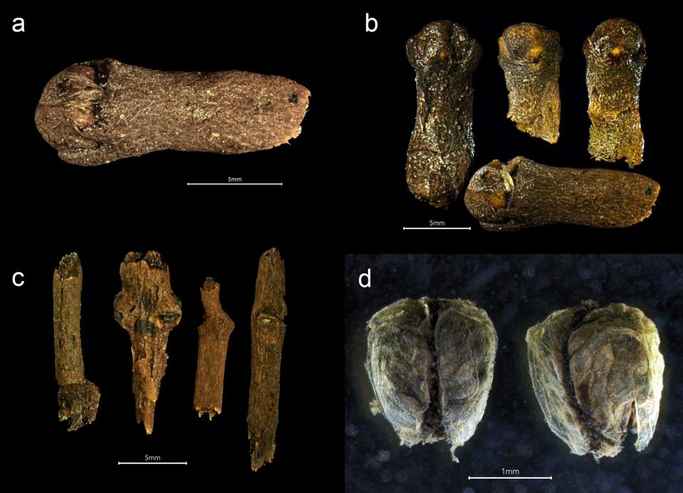 Restos de clavo rescatados de un navío vikingo del siglo XV | Larsson, Mikael, y Brendan Foley PLOS ONE 2023