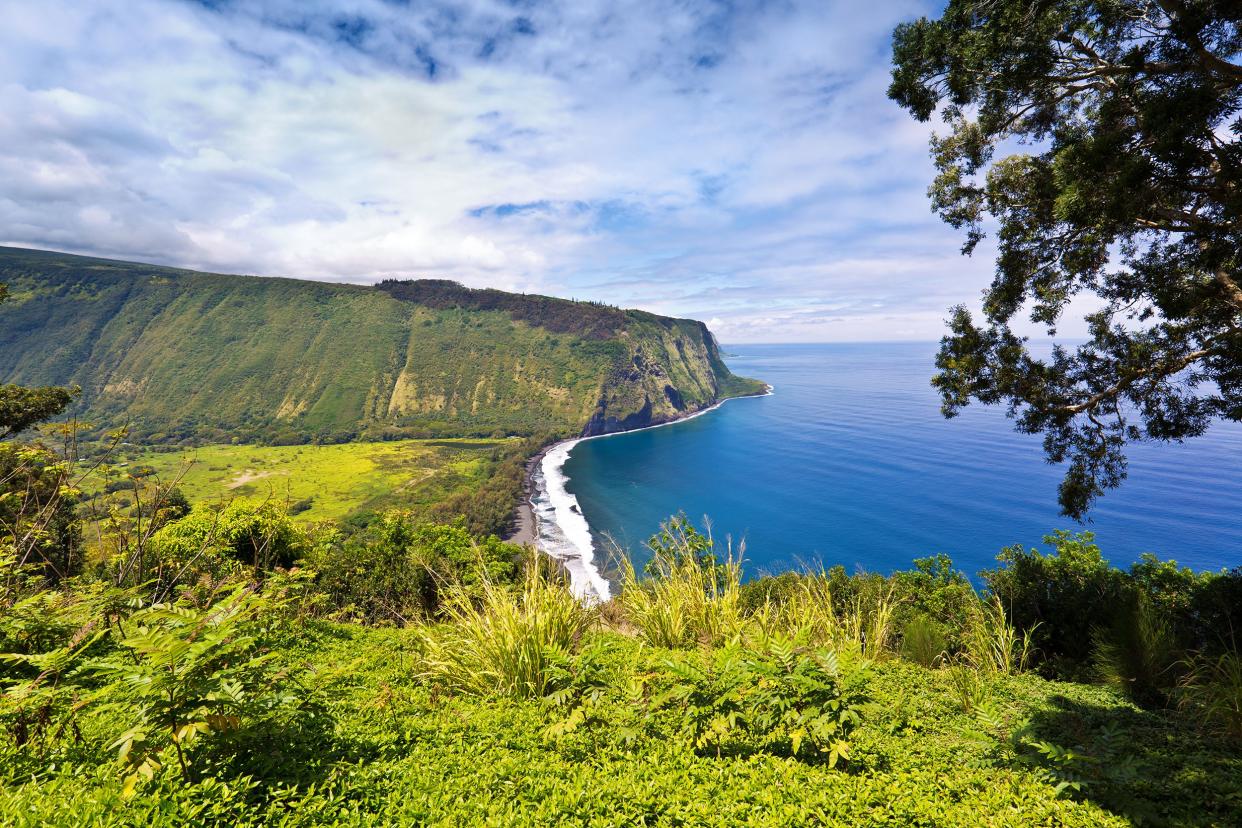 Hāmākua Coast, Big Island, Hawaii on a sunny day