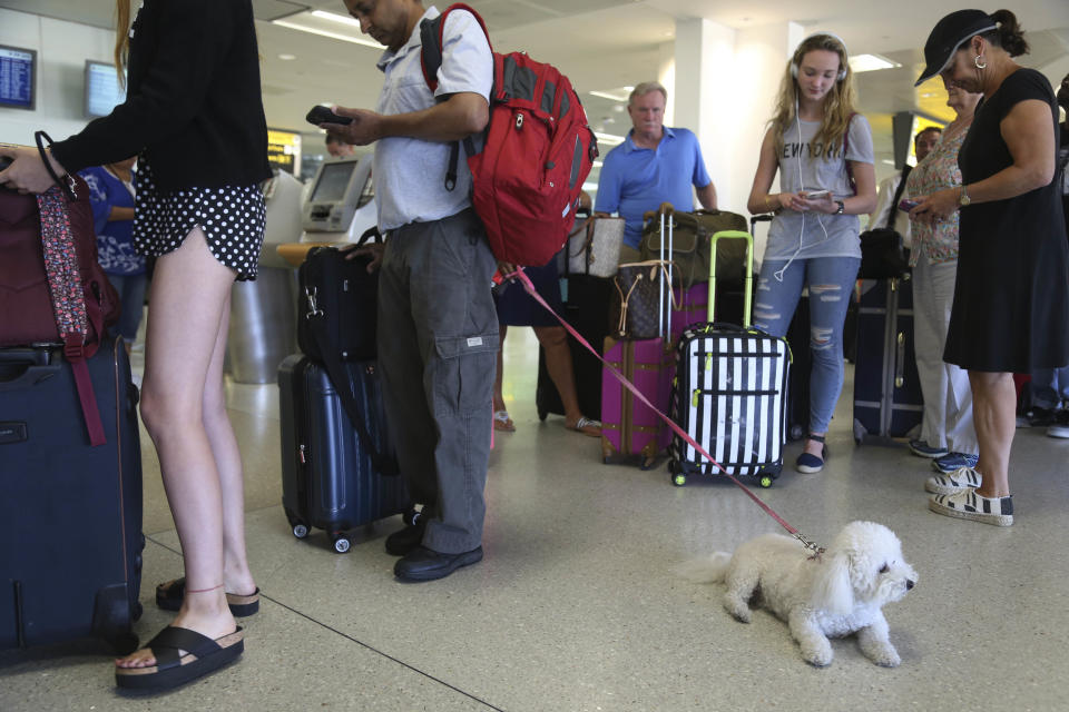 In this Aug. 8, 2016, file photo, a dog named Jazzy waits in line with Delta passengers at a ticket counter in Newark Liberty International Airport in Newark, New Jersey. (Photo: ASSOCIATED PRESS)