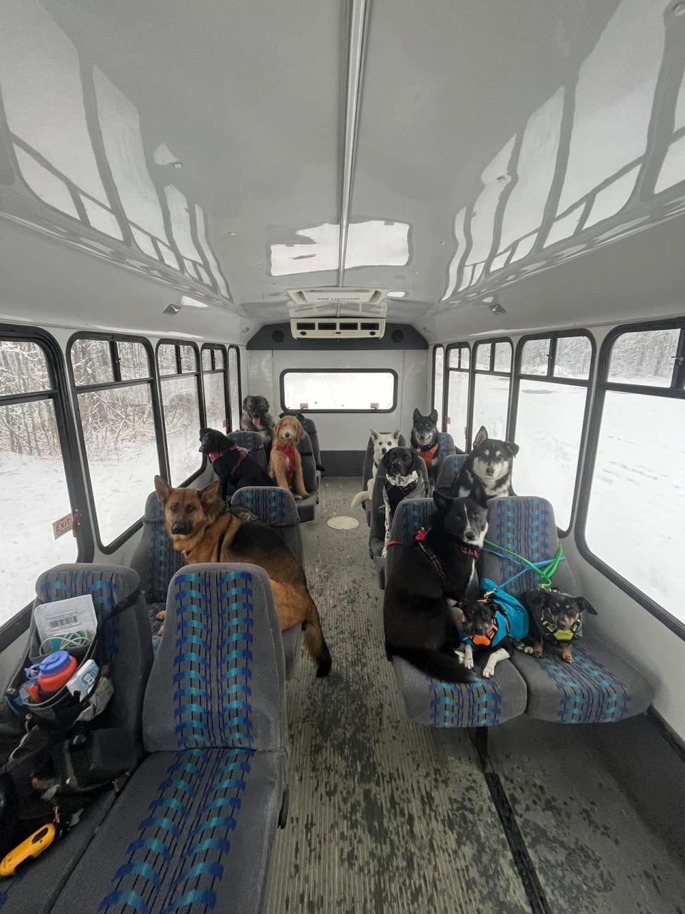 Mo Mountain Mutts — a dog-walking and pet-training business in Skagway, Alaska — uses a bus to pick up their clients.