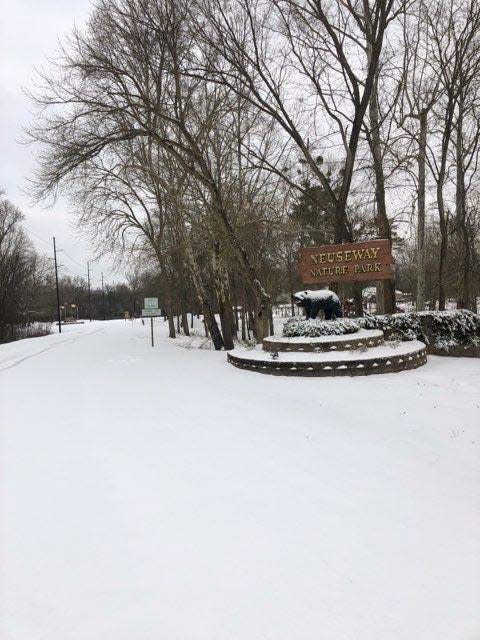 The bear statue marking Neuseway Nature Park in Kinston is dusted in snow Saturday morning.