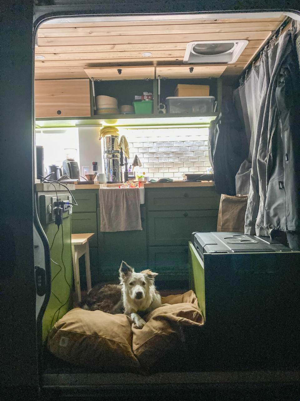 <div class="inline-image__caption"><p>Alsea the border collie makes for a fine van companion, long as she gets enough exercise during the day.</p></div> <div class="inline-image__credit">Winston Ross</div>